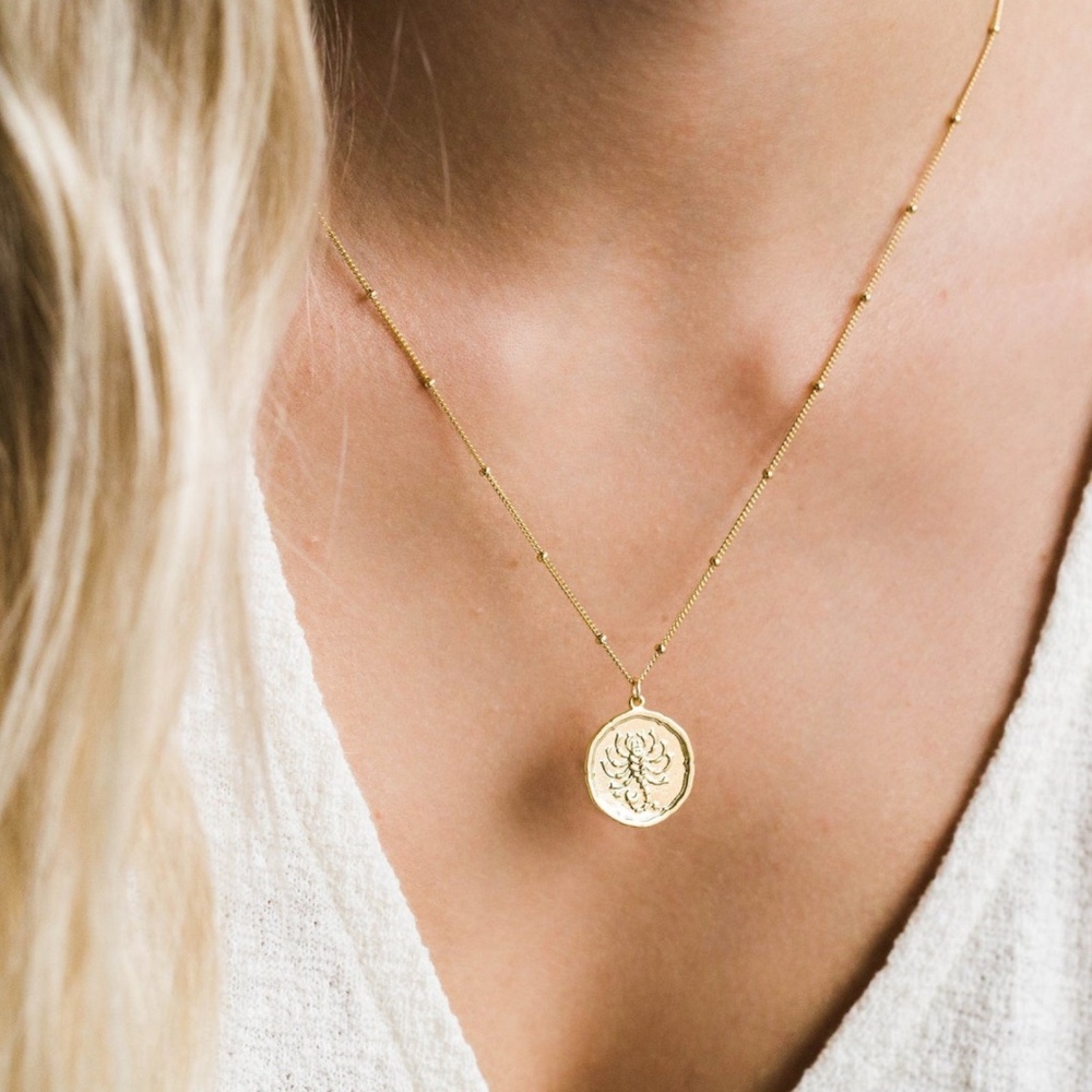 Gold Zodiac / Star Sign / Constellation Coin  Necklace Aries Etsy